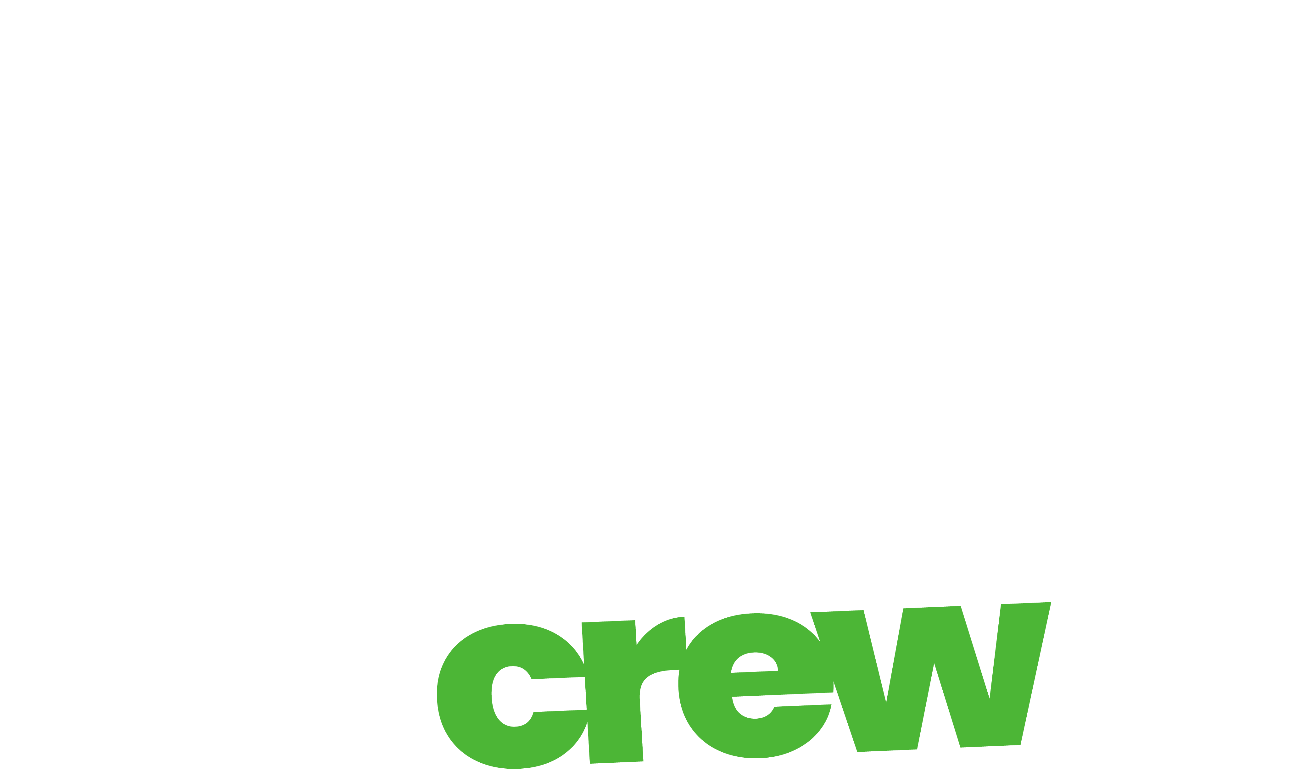 369crew.com
